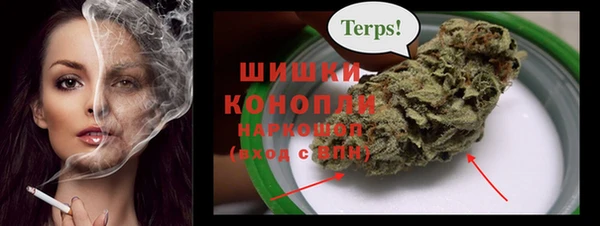 молекула духа Гусиноозёрск