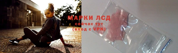 мяу мяу мука Иннополис
