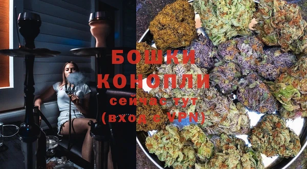 крисы Гусь-Хрустальный